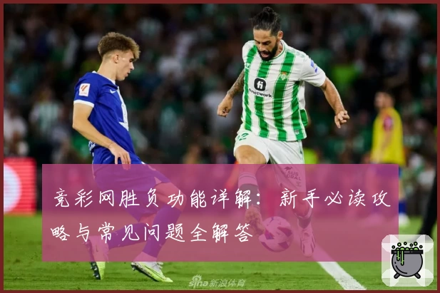 竞彩网胜负功能详解：新手必读攻略与常见问题全解答