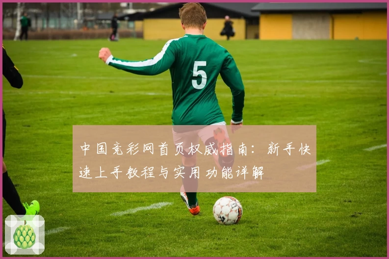 中国竞彩网首页权威指南：新手快速上手教程与实用功能详解