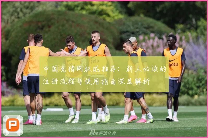 中国竞猜网权威推荐:新人必读的注册流程与使用指南深度解析