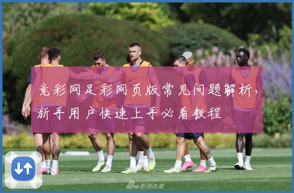 竞彩网足彩网页版常见问题解析，新手用户快速上手必看教程